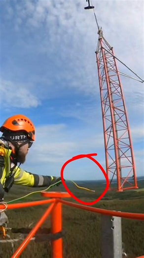 Why Workers NEVER Touch Cargo Directly? #physics #weird #shorts