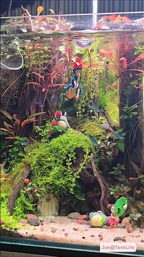 My Neighbor Totoro… in an Aquascape! 🍃🐟 | Aquatic Ghibli Vibes