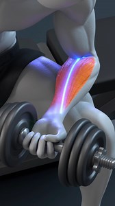 🔥 Strong Arms Start with Strong Forearms | DEMIC