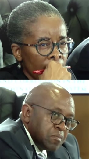 clip10-WATCH Sibiya seeks to amend his earlier testimony on the implementation plan