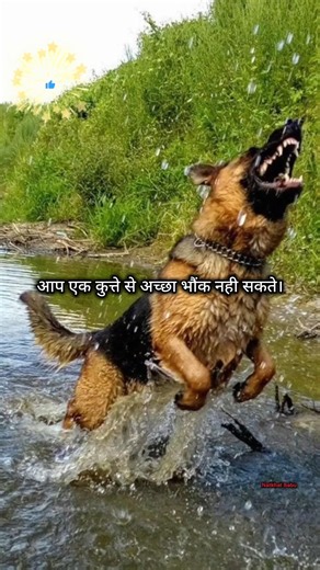 👉 हर बहस जीतना जरूरी नहीं होता | ये बात आपकी जिंदगी बदल देगी 💯 Best Motivation Shorts #viral #facts