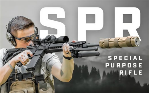 Daniel Defense MK12 Special Purpose Rifle Setup