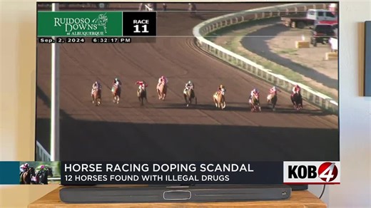 12 horses found with illegal drugs in system, trainers suspended