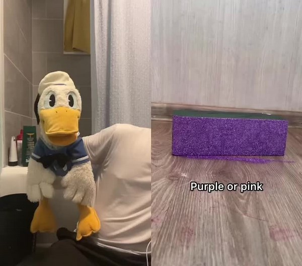 Donald Duck: Unraveling the Character's Evolution