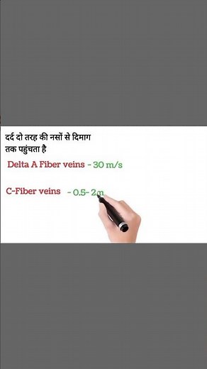 Brain vs Bomb- The Shocking Speed of Pain Before a Nuclear Death #reels #shorts #education #brain