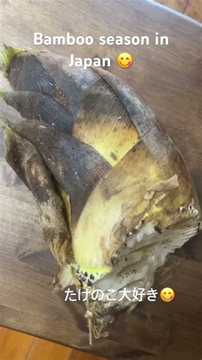 Try to eat bamboo in Japan so yummy though 😋🤤#yummy #おいしい #japantravel