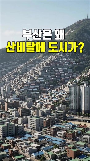 부산은 왜 산비탈까지 도시가 올라갔을까? 부산에 가면 높은 산비탈까지 집들이 빼곡하게 들어서 있고, 그 사이로 자동차와 버스가 다니는 도로까지 이어져 있습니다. #부산 #산복도로 #부산여행 #부산역사 #산동네 #도시이야기 #대한민국 #지식쇼츠 #궁금증 #shorts