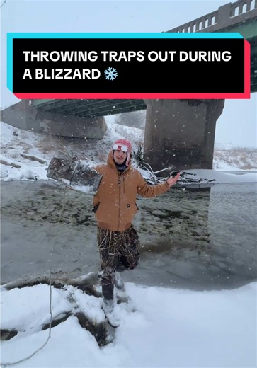 Hopefully the frost bite is worth it… ❄️🥶 #gusthebass | Gus The Bass