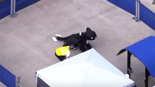 VIDEO: Robotic Autonomous Dragon Training Underway for Epic Universe's How to Train Your Dragon Land