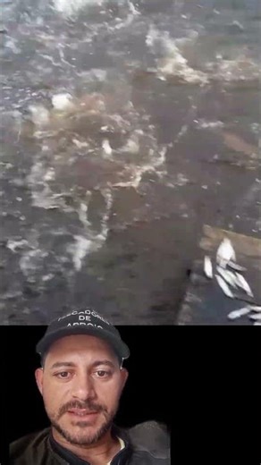 Plenty of fish in the Amazon, part 3 #fishing