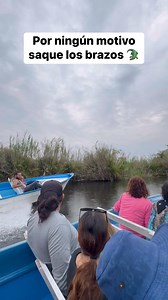 Se quieren convertir en el postre de los #reptiles 😨 | Dreams.