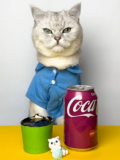 Flame trick with Plastic Cup. Popular life hacks #cuddleclawshow #lifehacks #foryou #catchef #cats