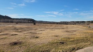 Jeffrey Alexander Martin on Reels