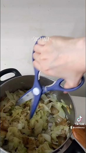 Leftover Cabbage ? Make Cabbage Patties , it tastes even better than stir fry !