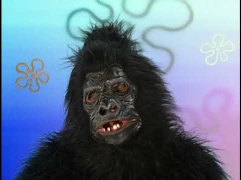 GEORGE THEY'RE ONTO US!