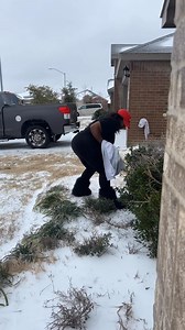 OMG Y’ALL LOOK WHAT I FOUND OUTSIDE MY HOUSE 🥲 Y’ALL SHARE MY POST | Rose Williams