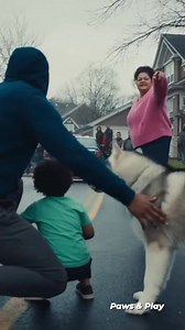 When Everyone Pointed Fingers, This Husky Dog Chose Protection 🐺💙 Voices were raised. Fear spread fast. But this husky dog didn’t react with anger — he reacted with love. In a moment filled with tension, one dog made the safest choice of all: to protect a child. #dog #husky #pet #fblifestyles #loyaldog #dogprotect #emotionaldog | Paws & Play