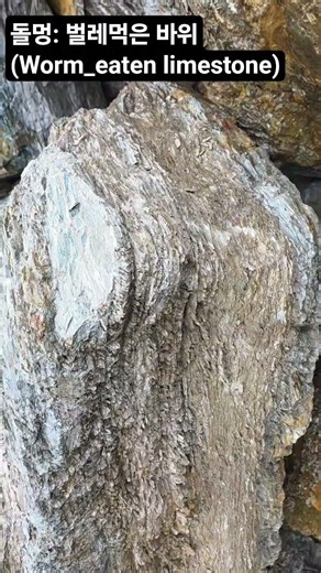 충식(蟲蝕)석회암_worm eaten limestone