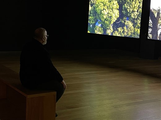 We were deeply honored to welcome Dawoud Bey to the Orlando Museum of Art this December and grateful for the opportunity to engage with his work and ideas in person. Through a meaningful, conversation-style lecture with Chief Curator Coralie Claeysen-Gleyzon, Bey shared insight into Evergreen—his powerful three-channel video installation filmed at Evergreen Plantation in Wallace, Louisiana, the most intact plantation complex remaining in the United States. Traversing quiet landscapes, preserved 