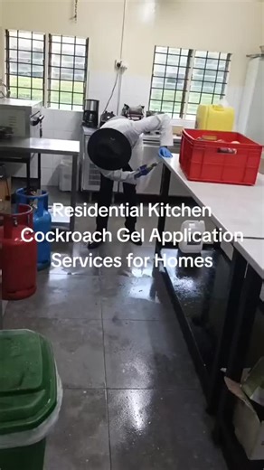 Residential Kitchen Cockroach Gel Application Services for Homes –...