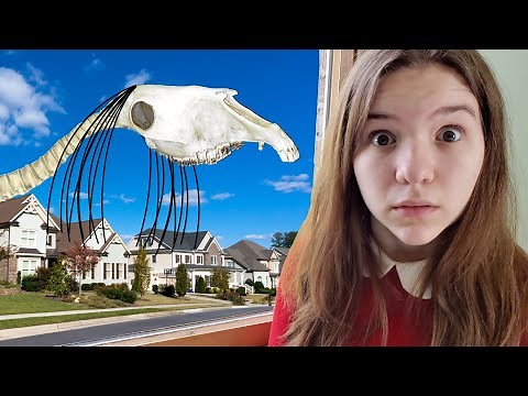 LONG HORSE SCARIER THAN SIREN HEAD!