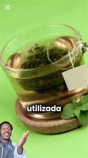 🌿✨ WHY EVERYONE SHOULD HAVE MINT AT HOME