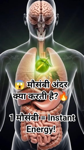मौसंबी शरीर के अंदर क्या करती है? 😱 | Sweet Lime Inside Body | Food UnderSkin #shortsfeed #shorts