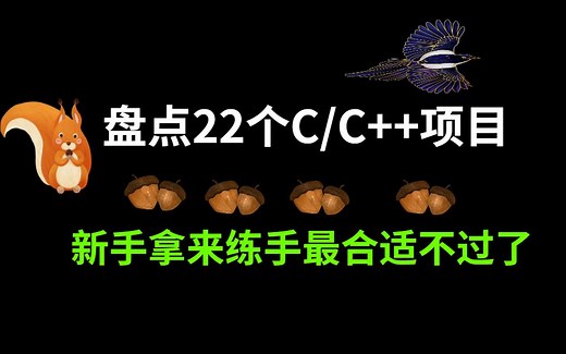 C/C  经典项目大盘点，新手练手首选