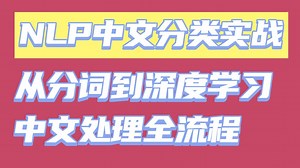 【附源码】保姆级教程：1天搞定NLP文本分类