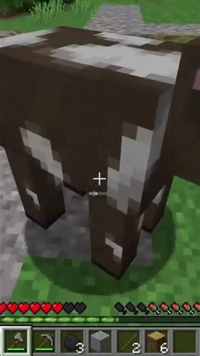 Exploring the world! #minecraft #minecraftgameplay #game #gamer #fun