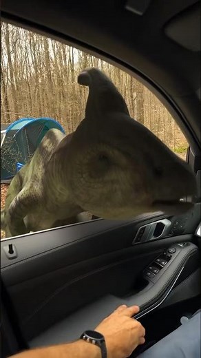 I would literally forget how to drive. Jurassic World: Chaos Theory is now playing!