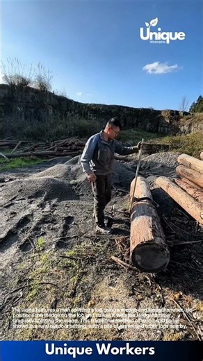Splitting Logs with a Wedge and Sledgehammer: Traditional Woodworking