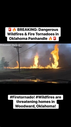 🚨🔥 BREAKING: Dangerous Wildfires & Fire Tornadoes in Oklahoma Panhandle 🔥🚨 📍 #Woodward | #Oklahoma Emergency crews are battling multiple out-of-control wildfires across the Oklahoma Panhandle as extreme fire danger continues. Powerful winds gusting 60–70 mph are driving flames rapidly across the landscape, creating explosive fire behavior. ⚠️ Mandatory evacuations are underway in several areas, including the city of Woodward. Reports indicate fast-moving flames, heavy smoke, fire whirls (fi