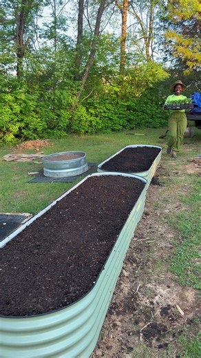Planting Strawberries: Beginner's Guide to Growing Your Own Strawberries