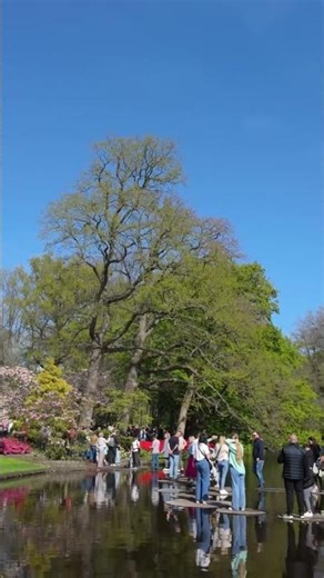 🌷 Keukenhof 2025🌷 Wonder Gardens Lisse