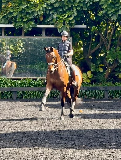 ⸻Harnessing the power and the balance ✨As Carl Hester always reminds us – “Balance before power.” This is absolutely my goal in training. The Grand Prix really is the ultimate test of that training – when you ask for the big power in extended trot, and then seamlessly collect it into a balanced, springy passage.Today I focused on creating that energy: using the push and reach from the extended trot to build truly active hind legs, and then channelling it into a lifted, cadenced passage.None of t
