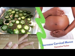 How To Use Okra Water To Boost Ovulation And Conceive Twins