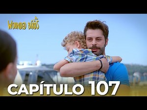 Omer Sueños Robados | Capítulo 107