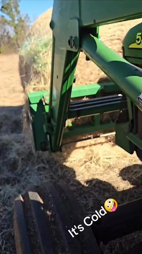 WhiskeyRed #foryourpage #Bulls #ranchlife | vicstang | Facebook