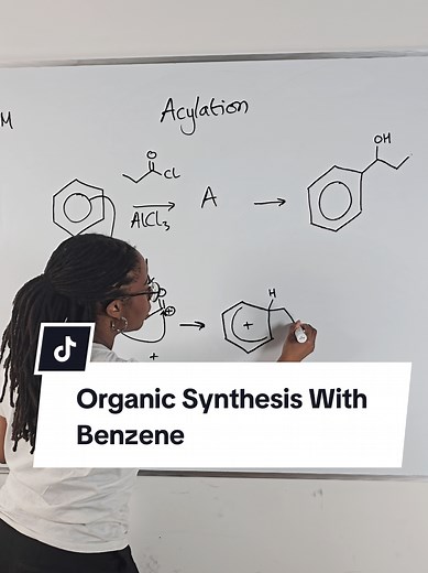 Understanding Organic Synthesis Using Benzene