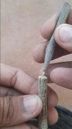 Easy FRUIT Planting Ideas to Try at Home