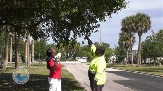 Hurricane Debris Removal Updates: Our Solid Waste Division is...