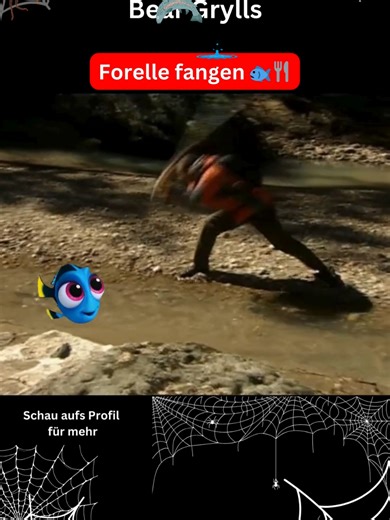 Forelle fangen: Tipps für erfolgreiches Angeln