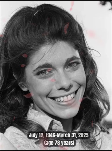 The Waltons cast in the '70s were pure magic! Their beauty and talent still shine today! 🥰✨ #TheWaltons #fblifestyle | Back to the 90s TV Show