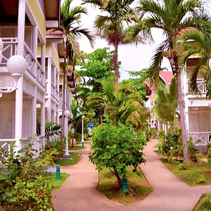 Traumurlaub? Gefunden! 😍 3 Nächte Jamaika-Busrundreise 🇯🇲 | inkl. allen Besichtigungen & Eintritten | weitere 11 Nächte Badeverlängerung | mit AI 🍍 | ab € 1.999,- ➤ http://bit.ly/2UkqtJB | sonnenklar.TV