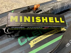 Aguila Minishell 12 gauge shotshells and the Beretta A300 Ultima Patrol, will they run?