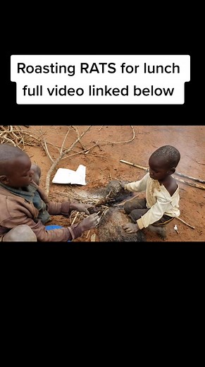 Traditional Rat Roasting Method in Outdoor Setting