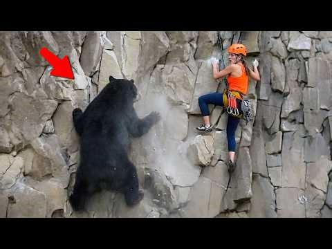 Most Incredible Mountain Incidents Caught on Camera