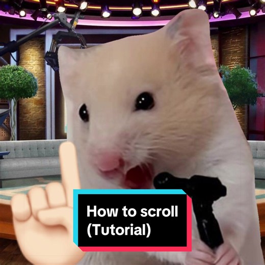this took me way too long to edit🫩 #fyp #hampterrants #rant #xyzbca | hamster