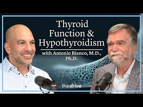 373 – Thyroid function & hypothyroidism: how new approaches are transforming care